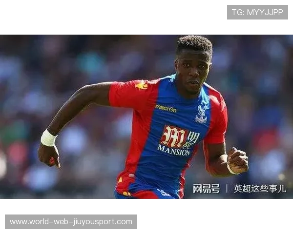 全能人生：前热刺铁卫足坛传奇精彩开启娱乐新篇章