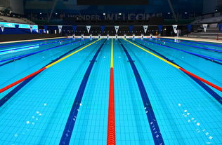 九游(jiuyou)官方网站-体坛记忆|福冈世锦赛蝶泳决赛,张雨霏最后5米不换气狂冲,逆袭夺金